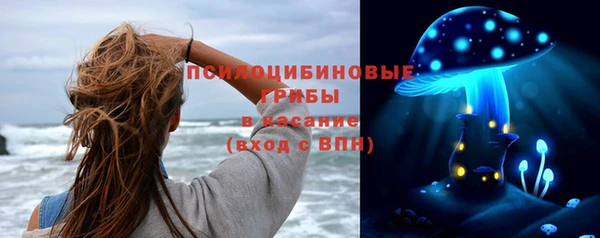 твердый Алексеевка